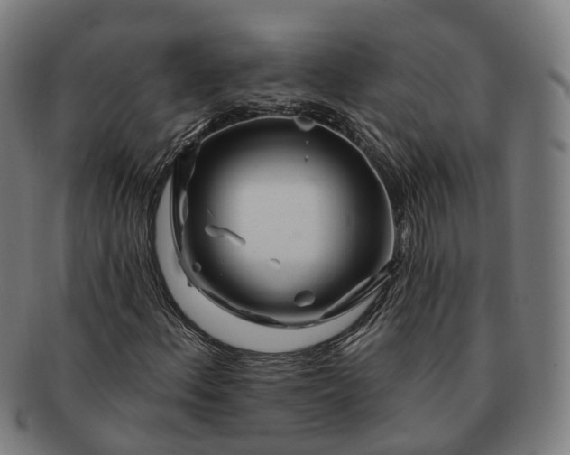 X0000091311156200708241107