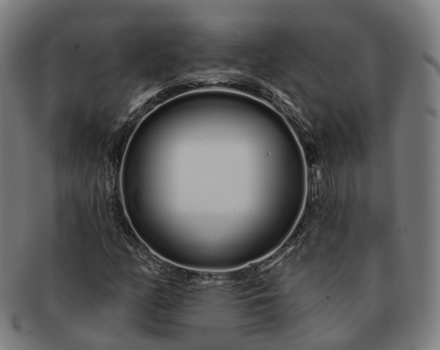 X0000091311158200708241107