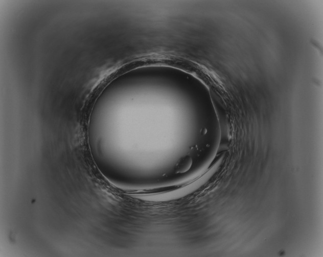 X0000091311160200708241107