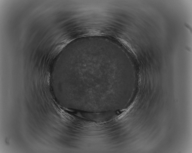 X0000091311161200708241107