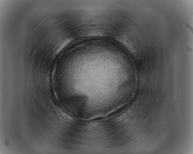 X0000091311162200708241107