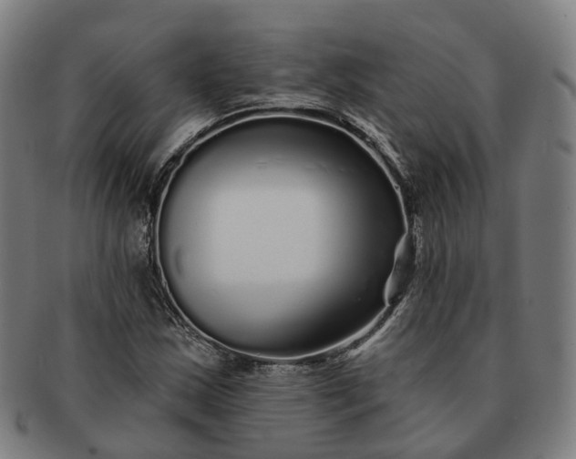 X0000091311163200708241107