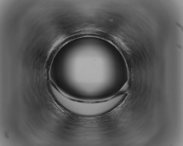 X0000091311164200708241107