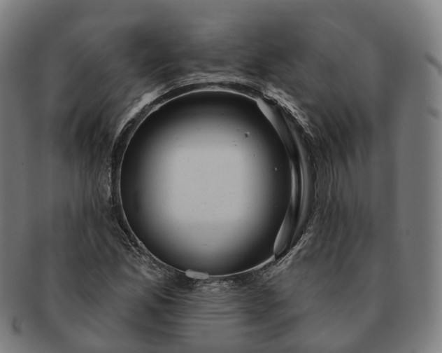 X0000091311165200708241107