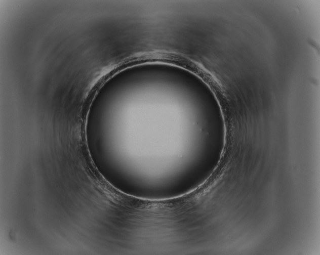 X0000091311166200708241107