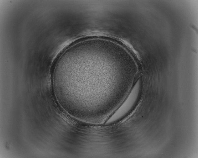 X0000091311167200708241107