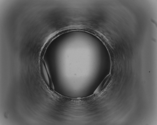 X0000091311168200708241107