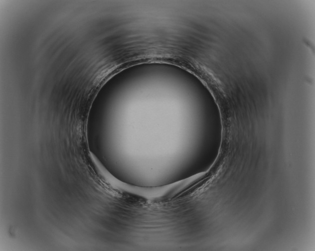 X0000091311169200708241107