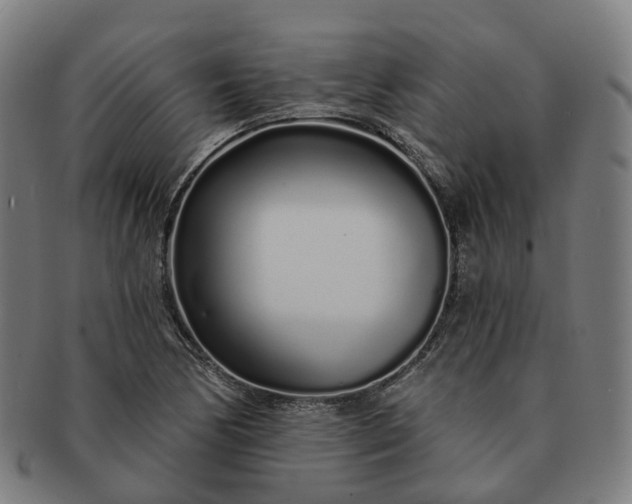 X0000091311170200708241107