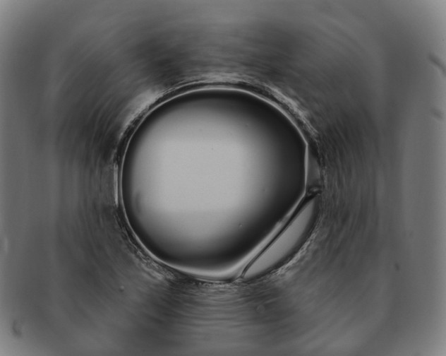 X0000091311171200708241107