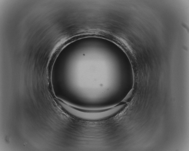 X0000091311172200708241107