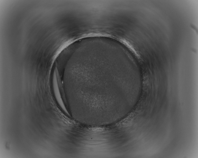 X0000091311173200708241107