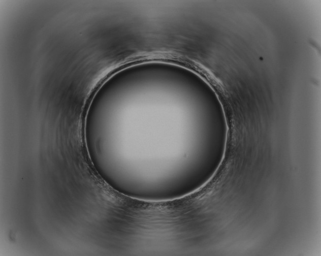 X0000091311174200708241107