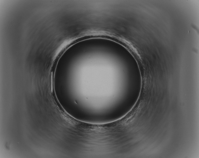 X0000091311175200708241107