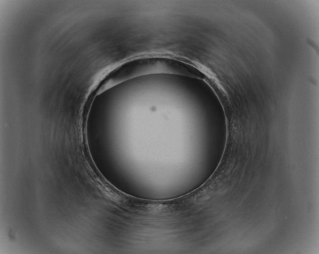 X0000091311176200708241107