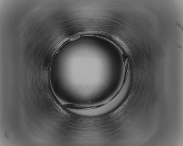 X0000091311177200708241107