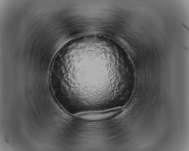 X0000091311178200708241107