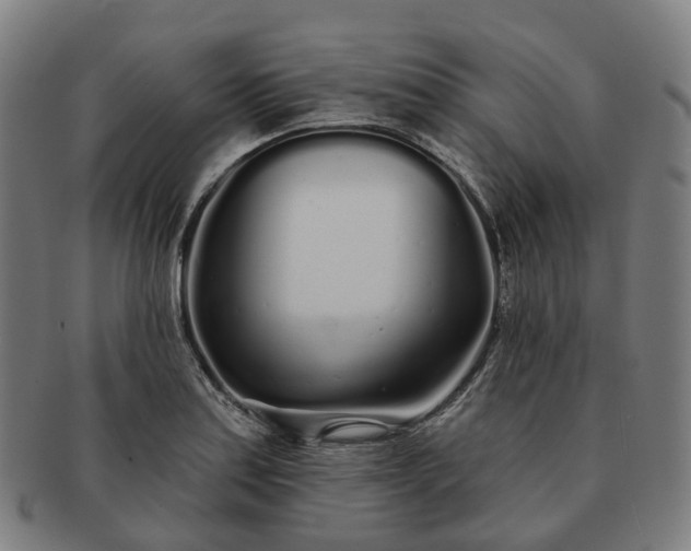 X0000091311179200708241107