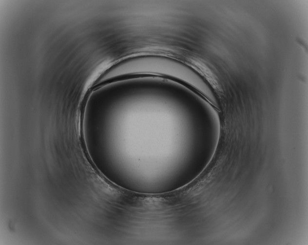 X0000091311180200708241107