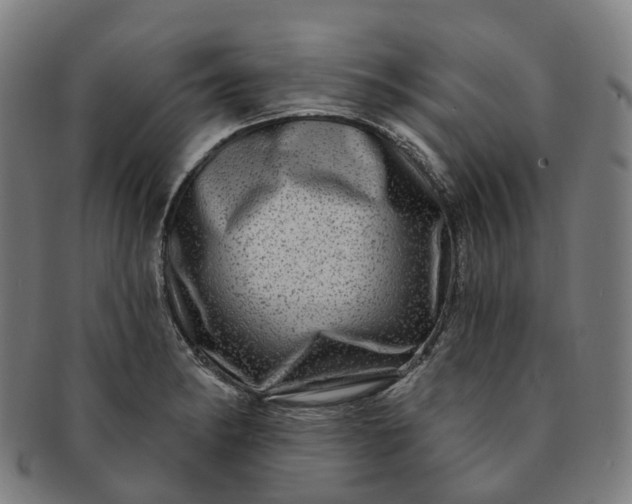 X0000091311182200708241107