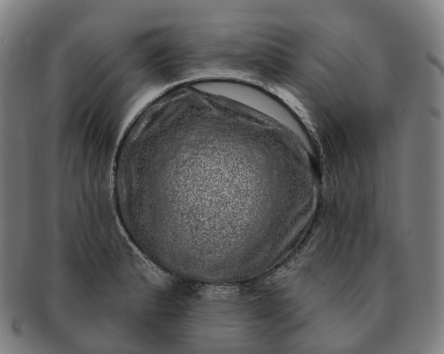 X0000091311183200708241107