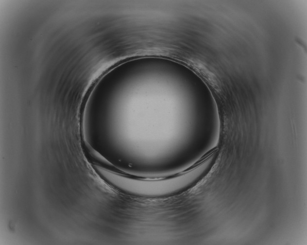 X0000091311184200708241107