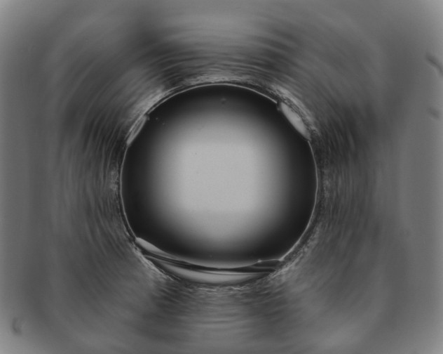 X0000091311185200708241107