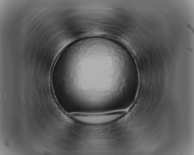 X0000091311186200708241107