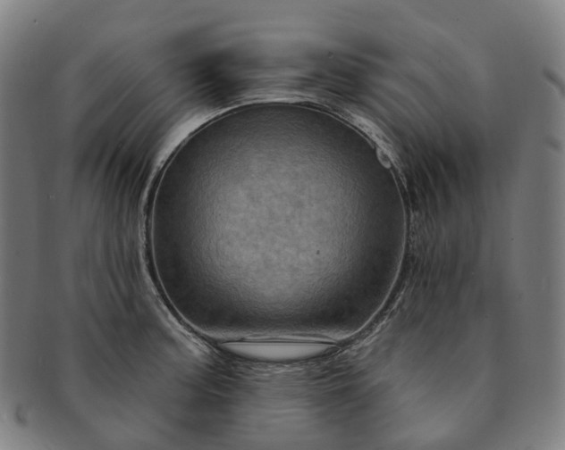 X0000091311187200708241107