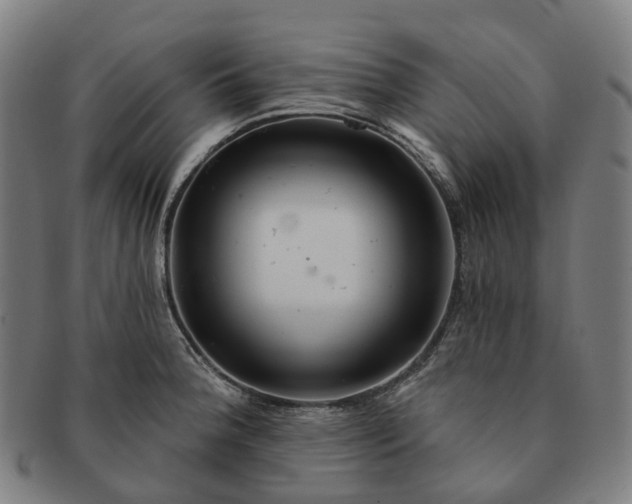 X0000091311188200708241107