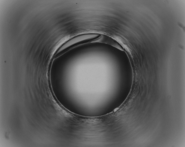 X0000091311189200708241107