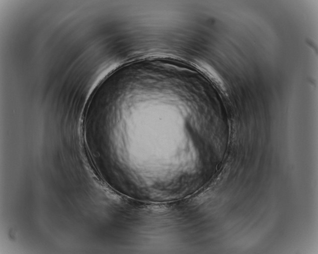 X0000091311190200708241107