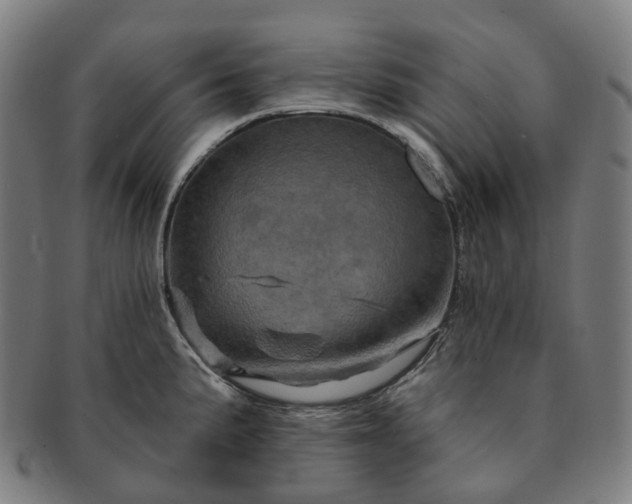 X0000091311191200708241107