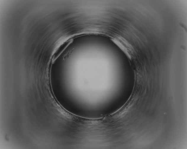 X0000091311192200708241107