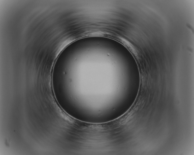 X0000091311194200708241107