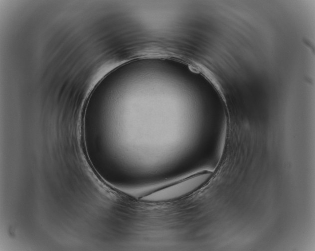 X0000091311195200708241107