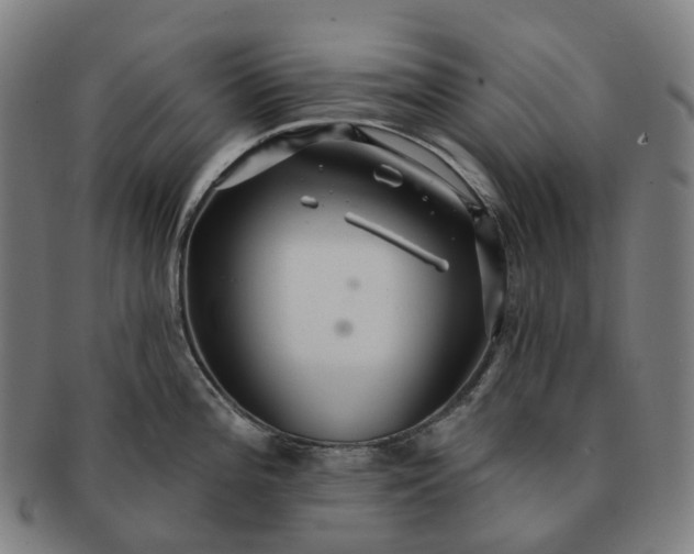 X0000091311196200708241107