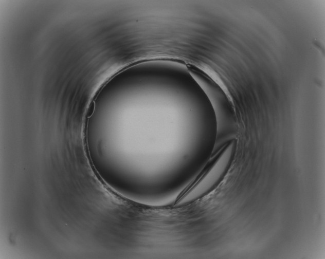 X0000091311197200708241107