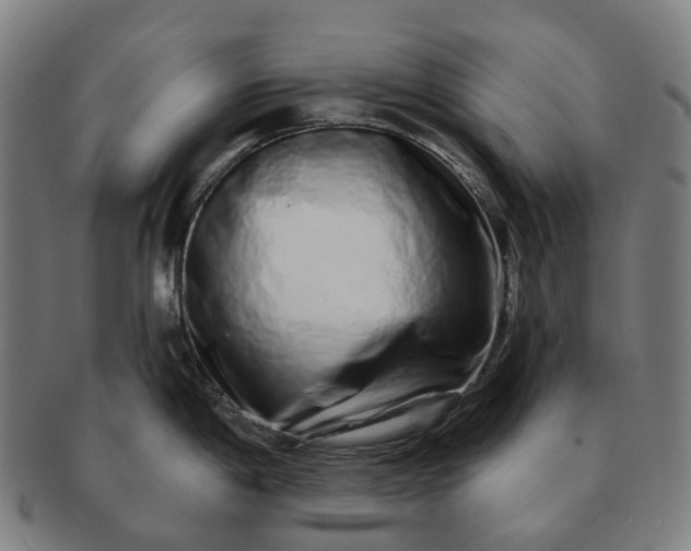 X0000091311198200708241106