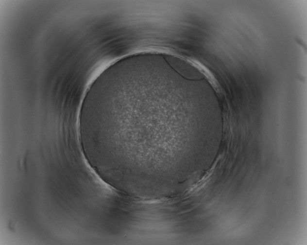 X0000091311199200708241106