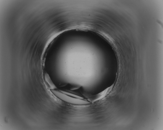 X0000091311200200708241106