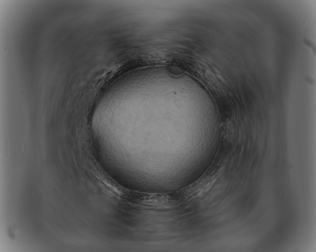 X0000091311201200708241106