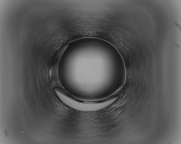 X0000091311202200708241106