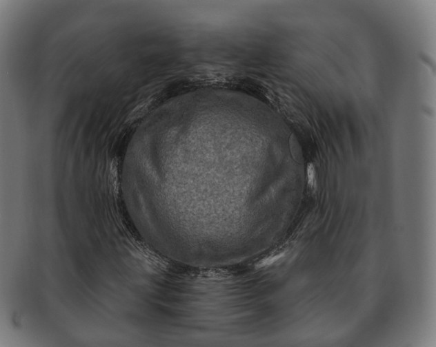 X0000091311203200708241106