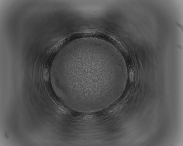 X0000091311204200708241106