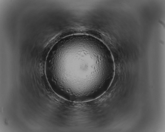 X0000091311205200708241106