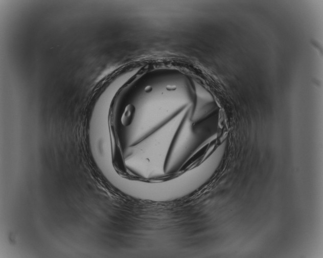 X0000091311206200708241106