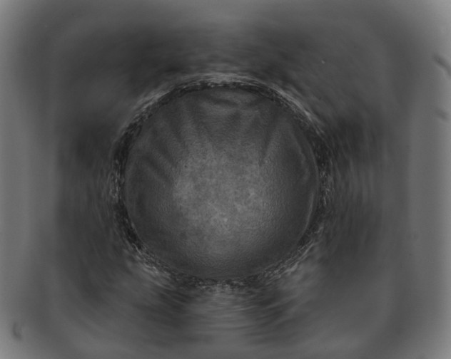 X0000091311207200708241106