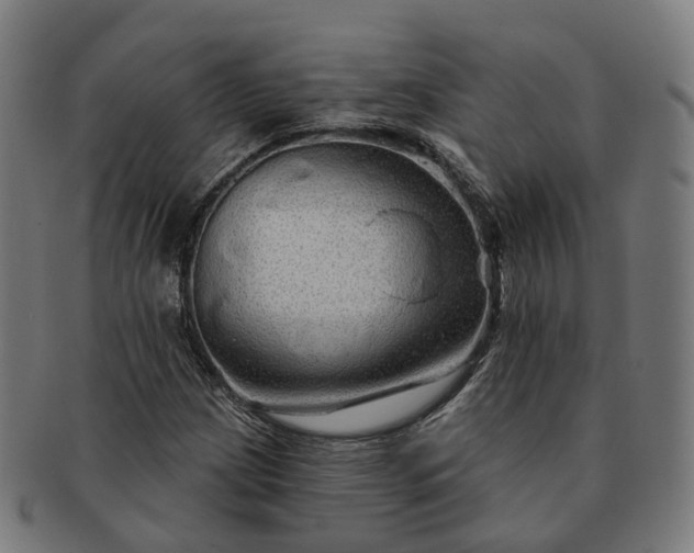 X0000091311209200708241106