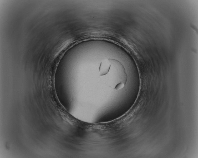 X0000091311211200708241106